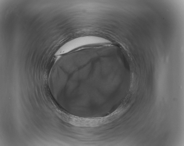 X0000078030048200611171950