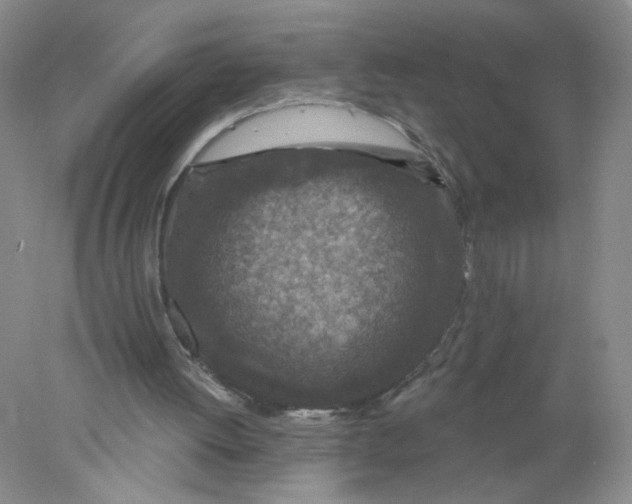 X0000078030052200611171949