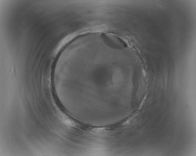 X0000078030054200611171949