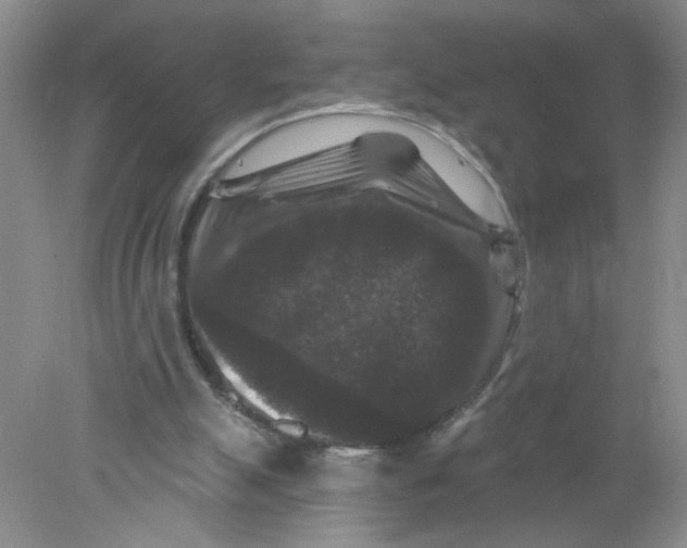 X0000078030055200611171949