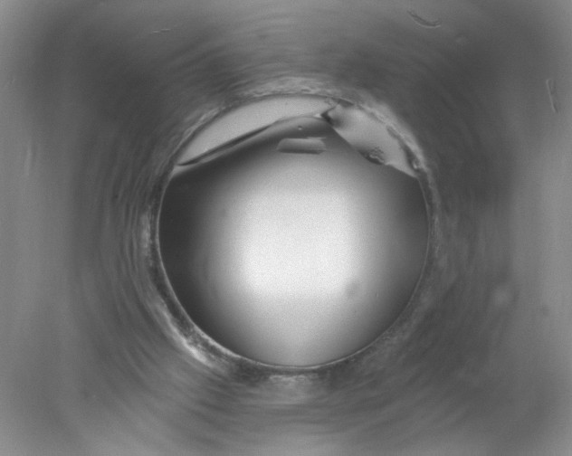 X0000078030057200611171949