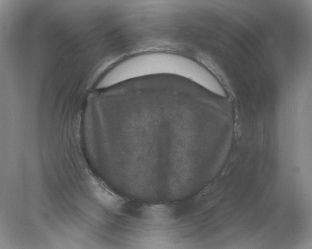 X0000078030058200611171949