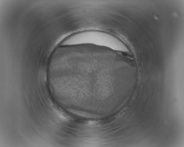 X0000078030060200611171949