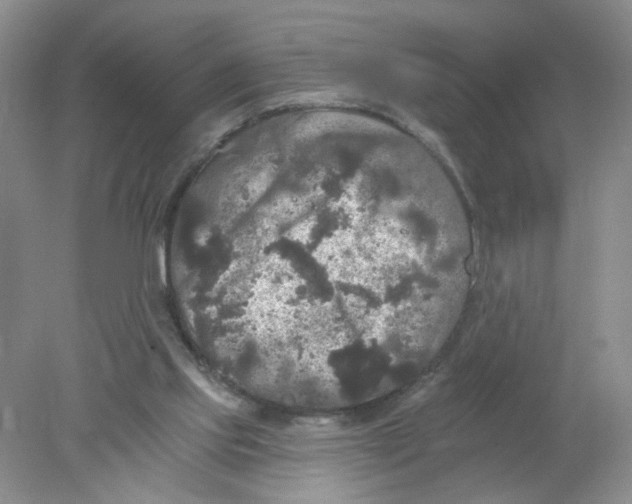 X0000078030061200611171949