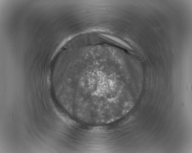 X0000078030064200611171949