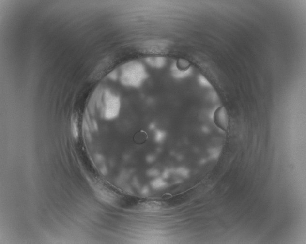 X0000078030069200611171949