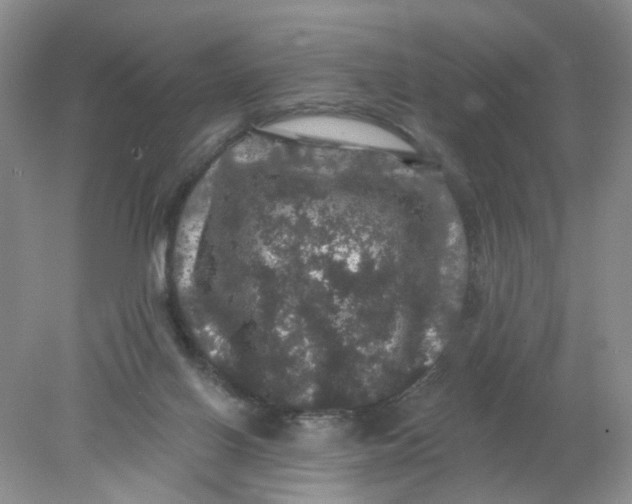 X0000078030070200611171949