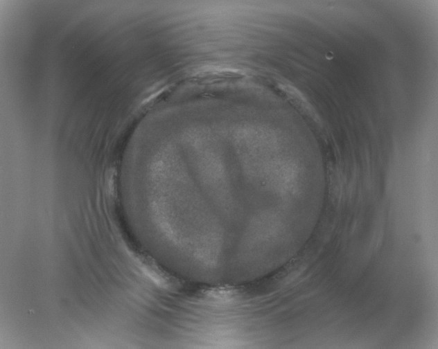 X0000078030071200611171949