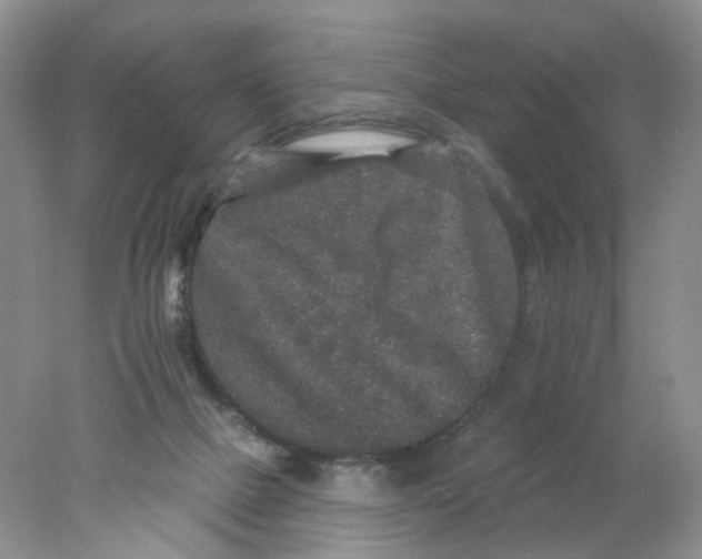 X0000078030073200611171950