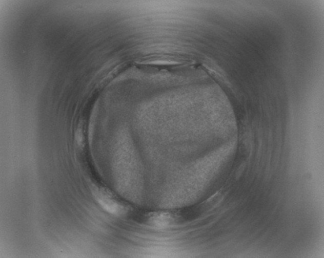 X0000078030074200611171950