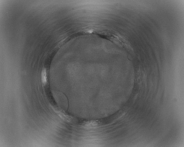 X0000078030075200611171950