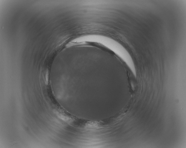 X0000078030076200611171950