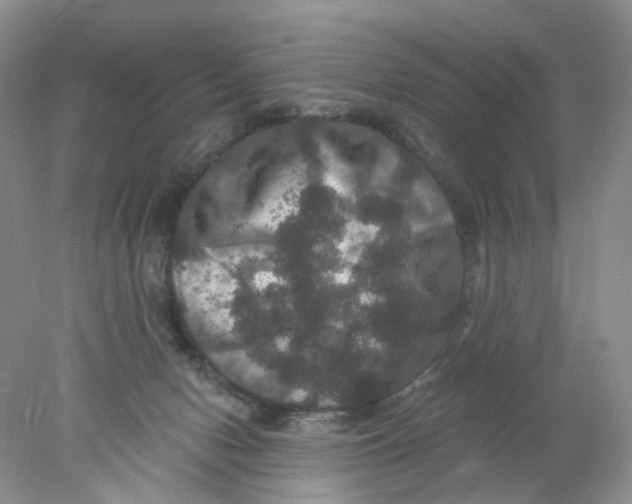 X0000078030078200611171950