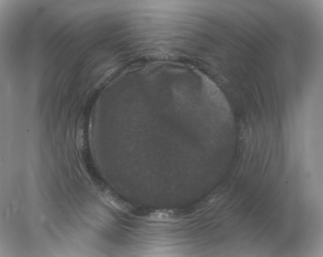 X0000078030080200611171950