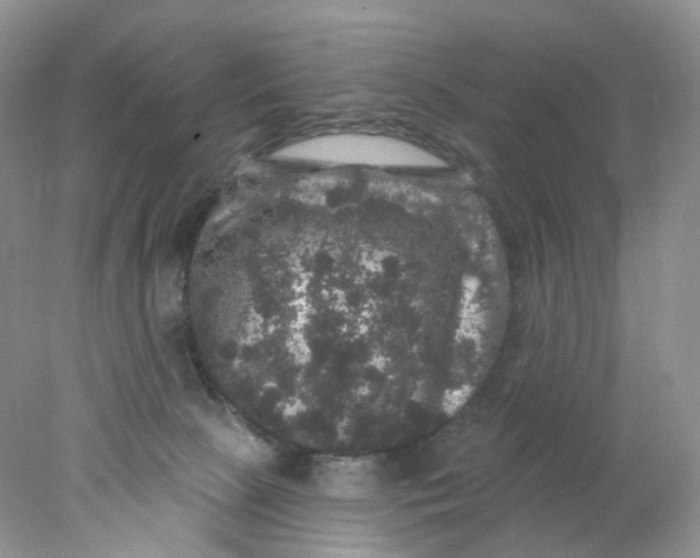 X0000078030081200611171950