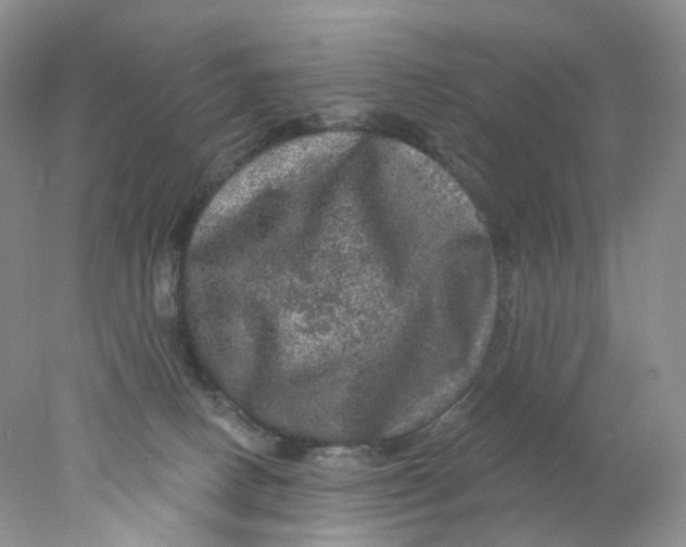 X0000078030082200611171950