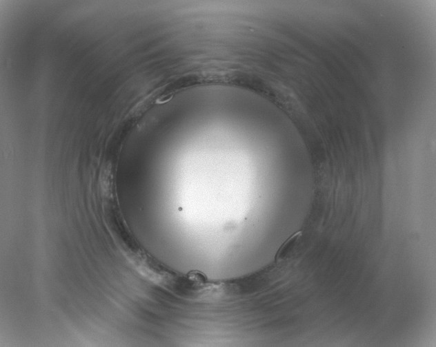 X0000078030083200611171950