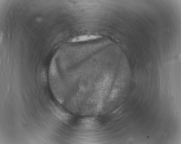 X0000078030086200611171950