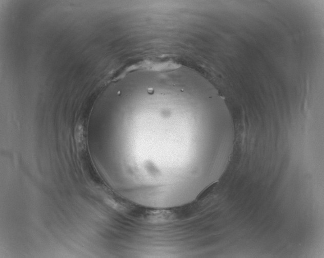 X0000078030087200611171950