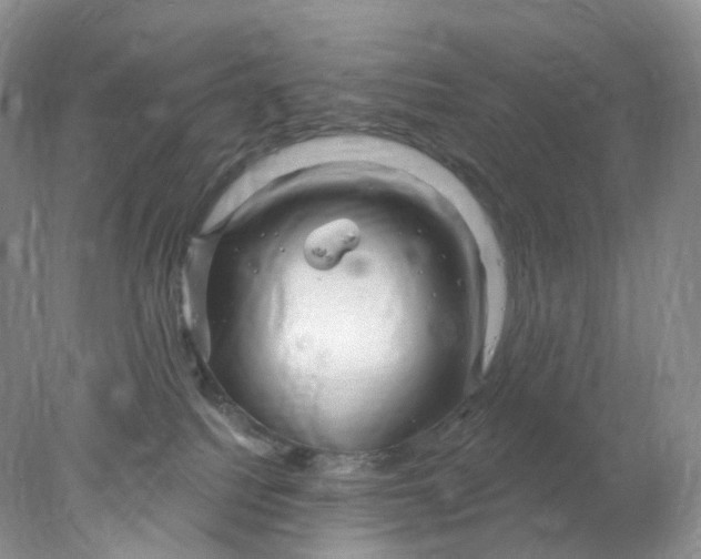 X0000078030088200611171950