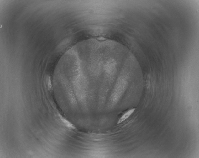 X0000078030089200611171950