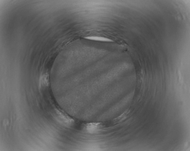 X0000078030090200611171950