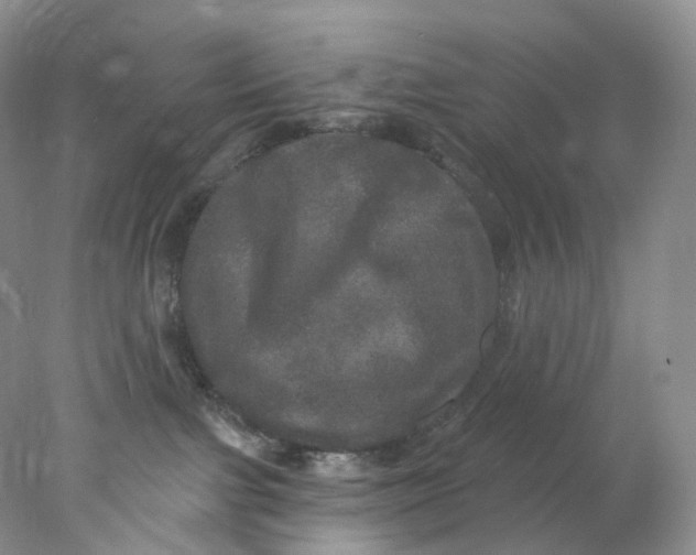 X0000078030091200611171950