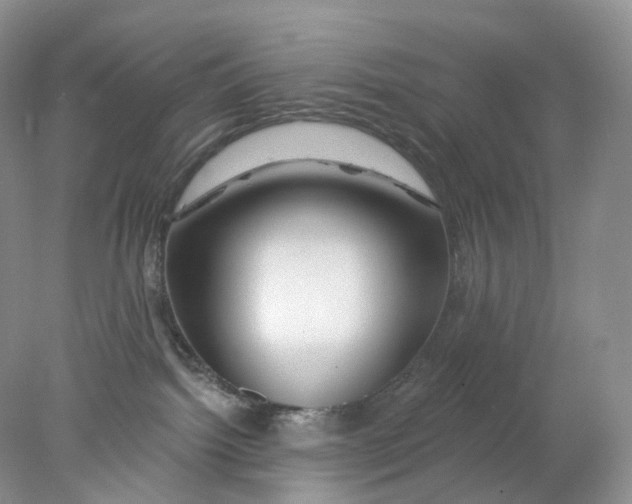 X0000078030092200611171950