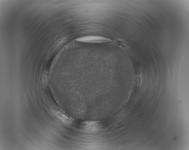 X0000078030093200611171950