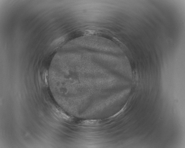 X0000078030094200611171950