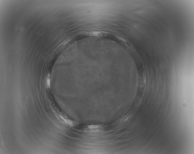 X0000078030095200611171950