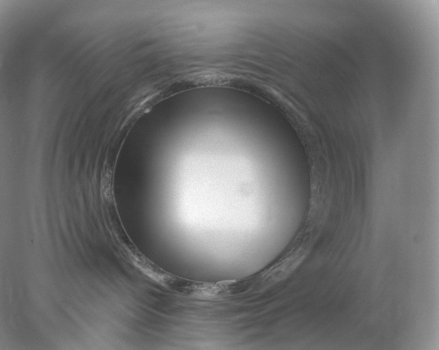 X0000078030096200611171950