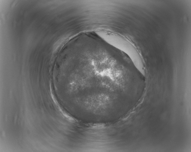 X0000078030097200611171949