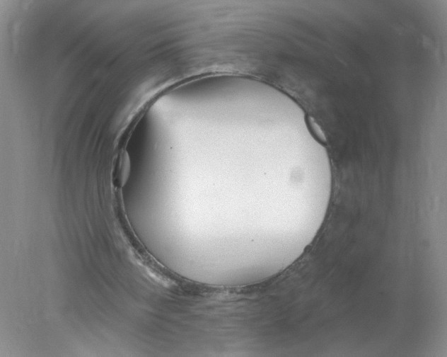 X0000078030098200611171949