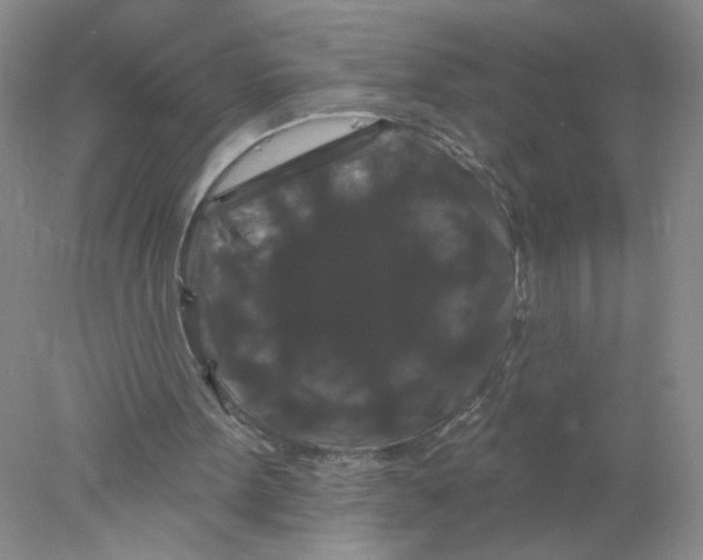 X0000078030099200611171949