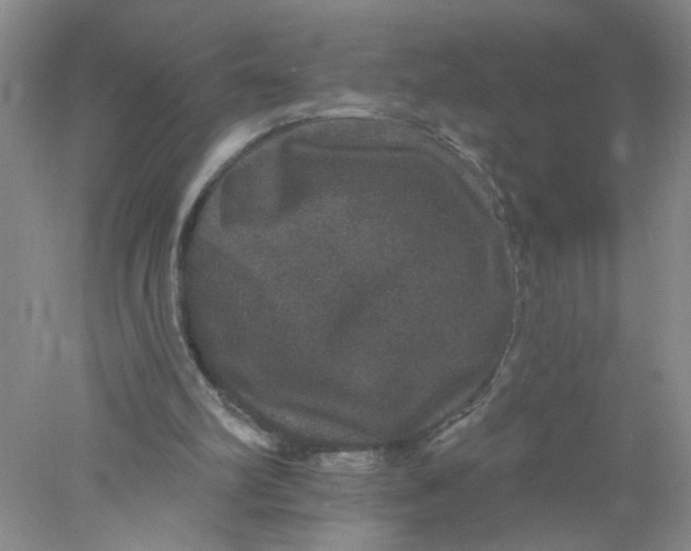 X0000078030102200611171949