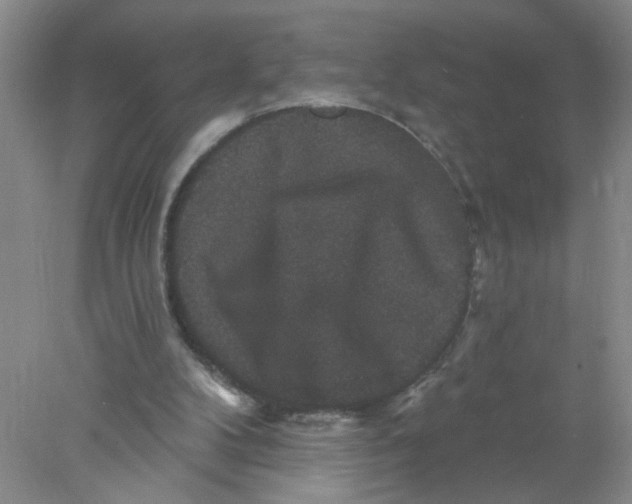 X0000078030104200611171949