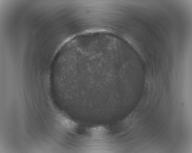 X0000078030112200611171949