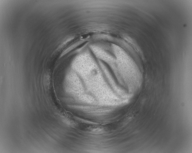 X0000078030113200611171949