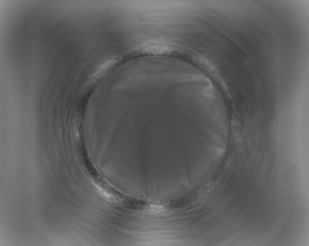 X0000078030114200611171949