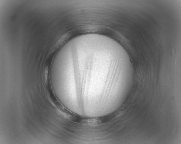 X0000078030118200611171949