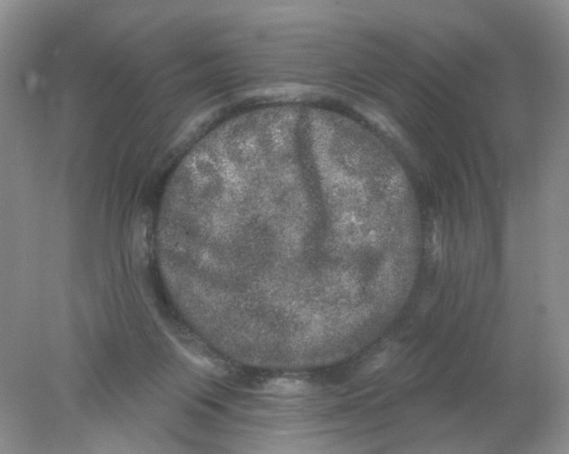 X0000078030119200611171949