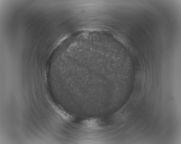 X0000078030120200611171949