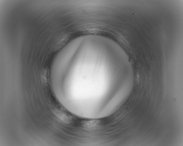 X0000078030122200611171949