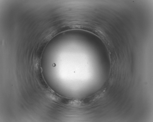 X0000078030125200611171949