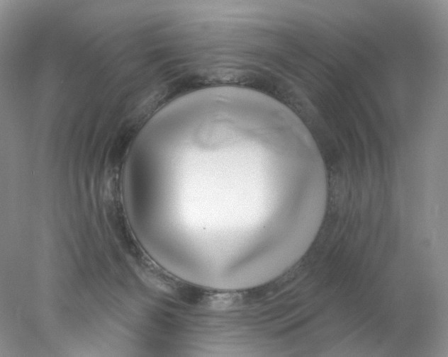 X0000078030126200611171949