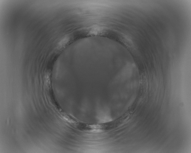 X0000078030127200611171949