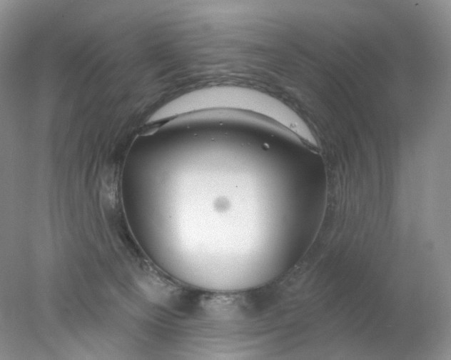 X0000078030129200611171949