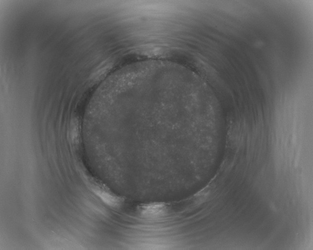 X0000078030132200611171949