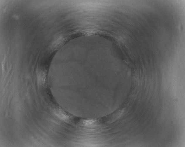 X0000078030139200611171948